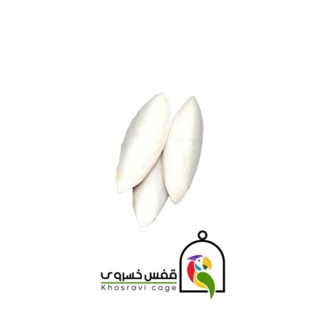 کف دریا خوراکی مخصوص پرندگان